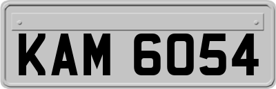 KAM6054