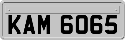KAM6065