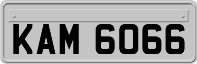 KAM6066