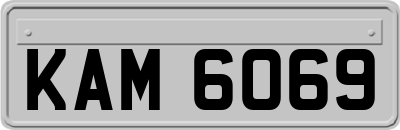 KAM6069