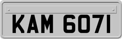 KAM6071