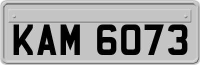 KAM6073