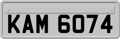 KAM6074
