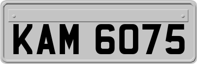 KAM6075