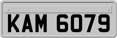 KAM6079