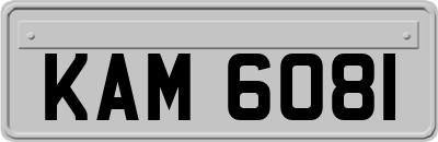 KAM6081