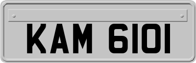KAM6101
