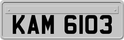 KAM6103