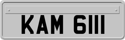 KAM6111