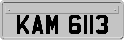 KAM6113