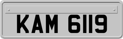 KAM6119