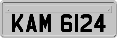 KAM6124