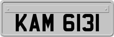 KAM6131