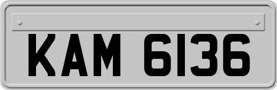 KAM6136