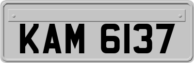KAM6137