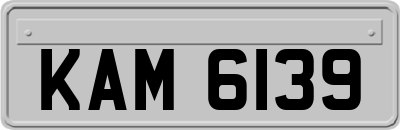 KAM6139