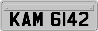 KAM6142