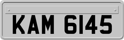 KAM6145