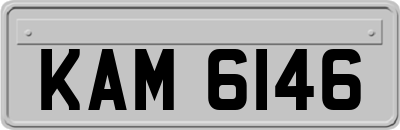 KAM6146