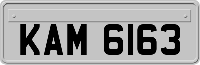 KAM6163