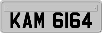 KAM6164