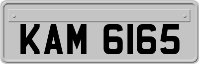 KAM6165