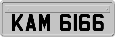 KAM6166