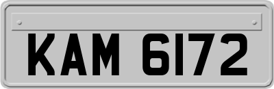 KAM6172
