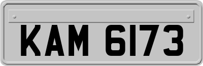 KAM6173