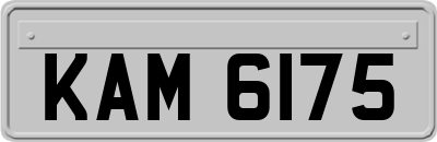 KAM6175