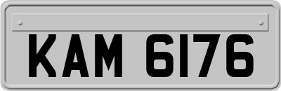 KAM6176