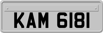 KAM6181