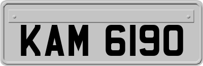 KAM6190