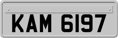 KAM6197