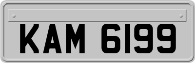 KAM6199