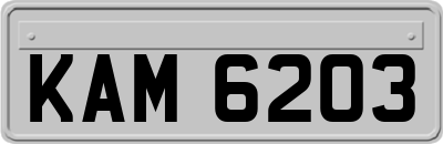 KAM6203
