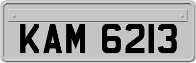 KAM6213