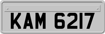 KAM6217