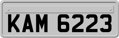 KAM6223