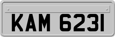 KAM6231