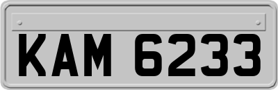 KAM6233