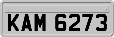 KAM6273
