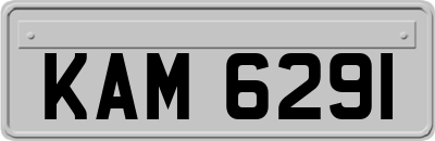 KAM6291