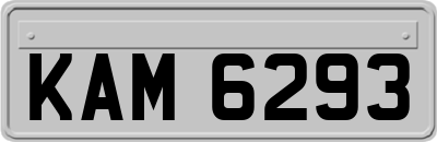 KAM6293