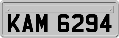 KAM6294