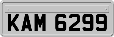 KAM6299