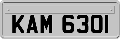 KAM6301