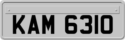 KAM6310