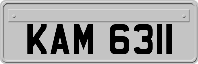 KAM6311