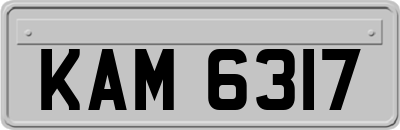 KAM6317